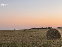 В Саратовской области усиливают защиту сельскохозяйственных земель