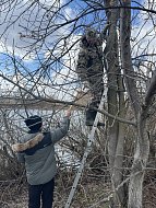 В заказнике «Центральный» разместили сделанные школьниками скворечники