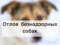 Уважаемые жители р. п. Дергачи и с. Петропавловка!