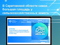 В Саратовской области самая большая площадь у сельскохозяйственных земель