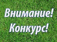 О проведении муниципального конкурса «Благоустрой родной район»!