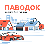 Только без паники!