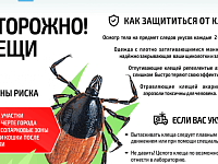 В Саратовской области становятся активными клещи – самое время вспомнить правила безопасности