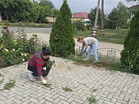 15 августа сотрудники администрации Дергачевского района приняли участие в санитарном дне.