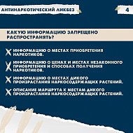 В рамках акции #СообщиГдеТоргуютСмертью рассказываем, что делать если увидели противоправный контент в сети Интернет  