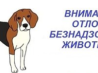 График планового отлова животных без владельцев на территории Дергачевского муниципальною района с 01.10.2025 года по 30.12.2025 года