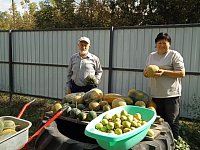 Осень — это волшебное время, когда природа радует нас своими яркими красками и щедрым урожаем.